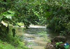 sarapiqui rio.jpg