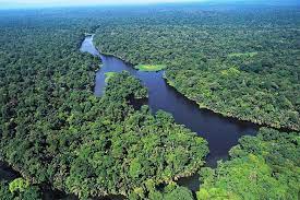 TORTUGUERO.jpg